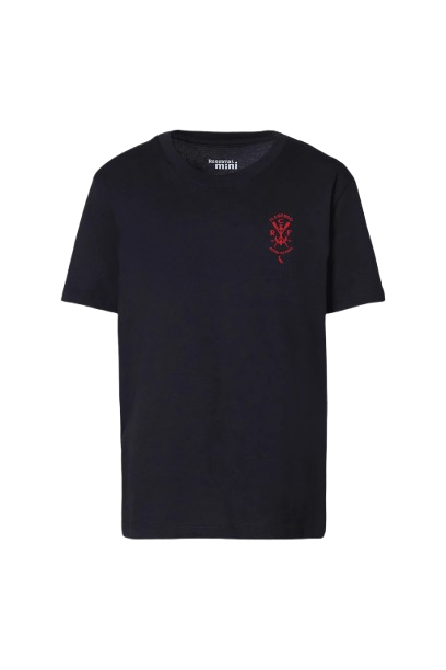 Camisa Flamengo Infantil Mini Estampa Escudo Remo 130 Anos Reserva