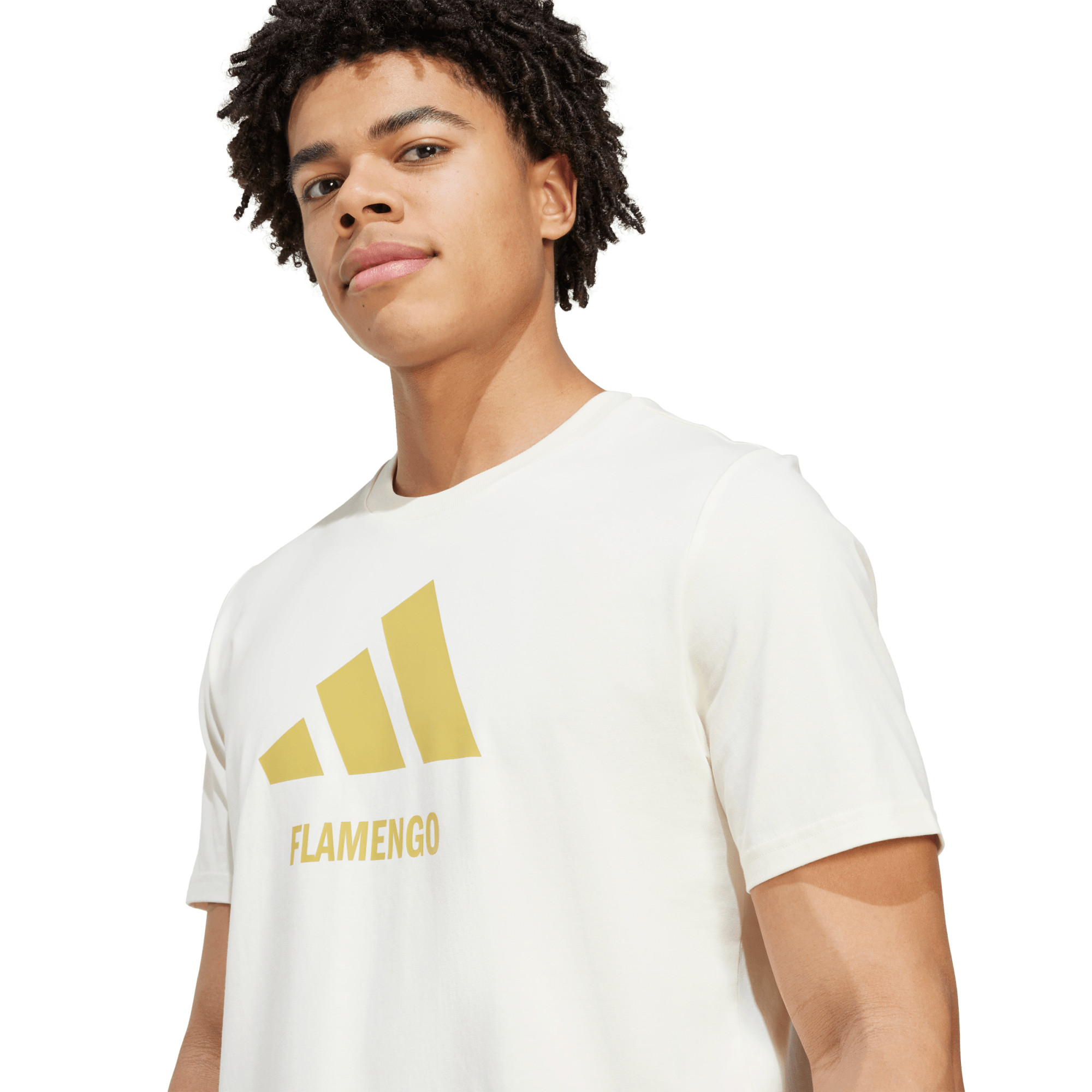 Camisa Flamengo Season Graphic Adidas 2025